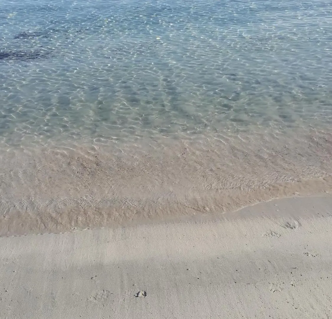 Alloggio per agriturismo Villa Il Ruscello SantʼAnna Arresi Italia