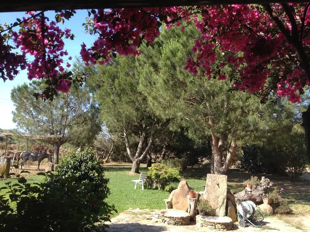 Villa Il Ruscello SantʼAnna Arresi 0*,